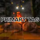 Primary tag (need developer)