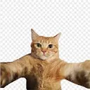 ᴍᴏᴢᴀᴋɪ