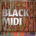 Black MIDI Community Hub