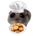 HammyHQ