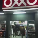 charly´s oxxo