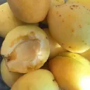 𝐞𝐭𝐡𝐞𝐫𝐞𝐚𝐥 ✨ Discord server icon