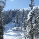KASHMIR