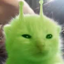 Glorpy Glorp