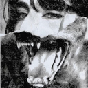 The wolves server icon