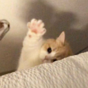 말랑말랑 Discord server icon