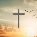 Rooted in Christ