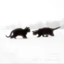 dsdsds
