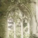 ✿・Starlight Hollow・✿