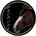 Mach One Dressage