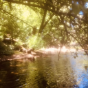 ✦ᴘᴍᴅ:𝐥𝐮𝐜𝐞𝐧𝐭 𝐤𝐚𝐥𝐨𝐩𝐬𝐢𝐚 Discord server icon