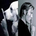 🦌      𓏽  PSYS SEARCH   (18+) Discord server icon