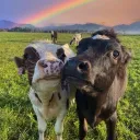 BeefyBesties