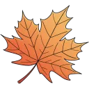 Maple Leaves
