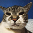 Discovery icon for YO Empire Discord server