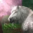 Soul Sister Dressage ∙{𝓞.𝓢}∙