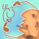 ｡✴  LECAOS S3