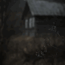 𝐇𝐞𝐫𝐞 𝐈𝐧 𝐓𝐡𝐞 𝐅𝐨𝐫𝐞𝐬𝐭  ︳18+