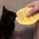 Wafflers Lounge Discord server icon