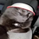 Upscaled Reuploads's icon