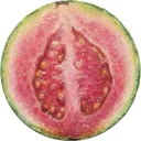 /guava