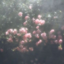 Be my sugar daddy or mommy