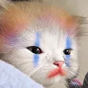 Clowns Community Server🤡
