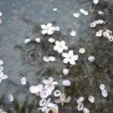 wrᥲιth ঌ