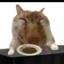 캠프파이어