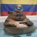 🎄 | Venezuela