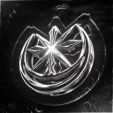 Astryx Leaks
