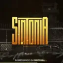 🌴 Sintonia Roleplay 🌴