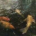 «★The Trash Bin★»