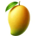 Mango Empire
