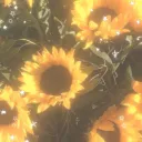 𝑇𝑜𝑥𝑖𝑐𝑤𝑎𝑠𝑡𝑒 Discord Server Icon