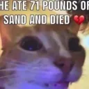 KITS SERVER
