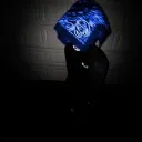 Exotic Land Discord server icon