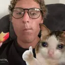 Gibbsters Kittys