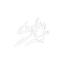 Swirly's Portfolio