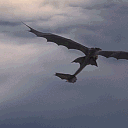 ❝To the Moon❞ : HTTYD AU Server Discord server icon