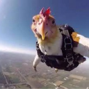 deez Discord server icon