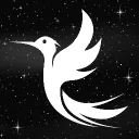 Ethereal's-Community