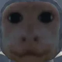 Scary Chimps