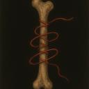 The Red Thread
