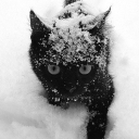 /bait Discord server icon