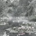 𝚃𝚑𝚎 𝚂𝚝𝚊𝚛 𝙲𝚘𝚞𝚛𝚝𝚑𝚘𝚞𝚜𝚎