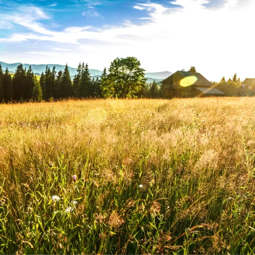 gag ru — мониторинг Discord сервера, статистика и рейтинг