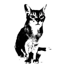 Katzen