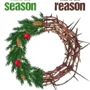 Server icon for Witty duck chattingggg