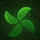 Fern Studios